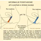 Ilustracja pokazuje zmiany pH pochwy podczas owulacji. W okresie **ruja** (owulacji) śluz szyjkowy zmienia konsystencję i pH, co jest kluczowe dla płodności.