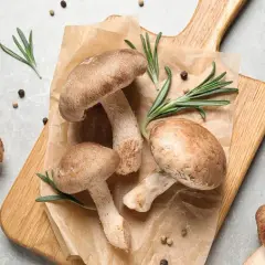 Czy pies może jeść grzyby? Dowiedz się, co może mu zaszkodzić