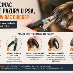 Jak obciąć psu pazury czarne, gdy nie widać quicka? Poradnik krok po kroku: przygotuj psa, używaj dobrych narzędzi, obcinaj po milimetrze, obserwuj przekrój i nagradzaj.
