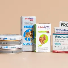 Kolekcja produktów do ochrony zwierząt przed pasożytami, takich jak pchły i kleszcze. Zapewniają kompleksową flora defense.