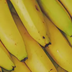 Kupka żółtych bananów. Zastanawiasz się, czy koty mogą jeść banany? Te owoce są bogate w potas i witaminy.