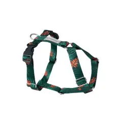 Szelki czy obroża dla maltańczyka – co zapewni mu większe bezpieczeństwo?