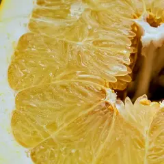Czy pies może jeść pomelo? Ważne informacje o ryzyku dla zdrowia psa