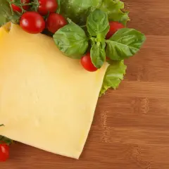 Czy pies może jeść ser? Sprawdź, co musisz wiedzieć o bezpieczeństwie