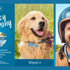 Obroża Foresto kiedy zaczyna działać? Sprawdź, co musisz wiedzieć