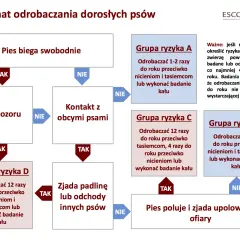 Schemat odrobaczania psów: jak często odrobaczać psa zależy od jego stylu życia i kontaktu z innymi zwierzętami.