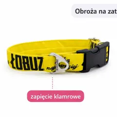 Żółta obroża na zatrzask z napisem "ŁOBUZ najdroższej" - idealna dla cane corso.