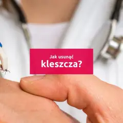 Pęseta usuwa kleszcza z ludzkiej skóry. Dowiedz się, jak wyciągnąć kleszcza bezpiecznie i skutecznie.