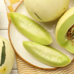 Czy pies może jeść melona? Bezpieczne zasady i zdrowe korzyści