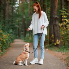 Dziewczyna uczy psa chodzić na smyczy w lesie. Pies siedzi, patrząc na nią z uwagą.