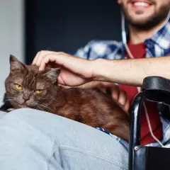 Uśmiechnięty mężczyzna na wózku głaszcze kota. To piękny przykład felinoterapii, która przynosi radość i ukojenie.
