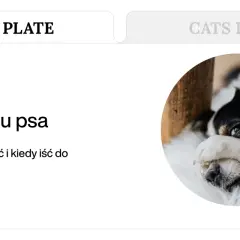 Biegunka u psa? Domowe sposoby i kiedy szukać pomocy weterynarza. Piesek wygląda na chorego, zasłaniając oczy łapką.