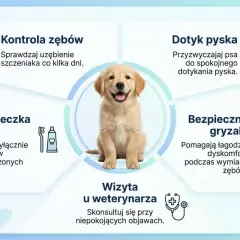 Szczeniak z uśmiechem. Dowiedz się, czy psy mają mleczaki, jak dbać o ich zęby i kiedy wizyta u weterynarza jest konieczna.