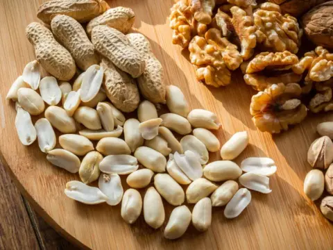 Czy koty mogą jeść pistacje? Oto, co musisz wiedzieć o ich bezpieczeństwie