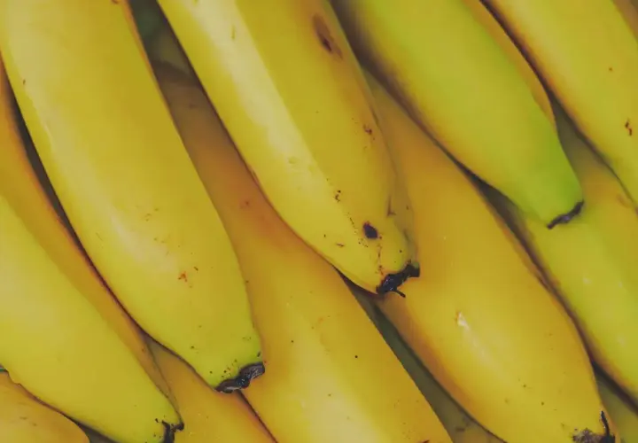 Kupka żółtych bananów. Zastanawiasz się, czy koty mogą jeść banany? Te owoce są bogate w potas i witaminy.