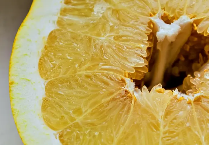 Czy pies może jeść pomelo? Ważne informacje o ryzyku dla zdrowia psa