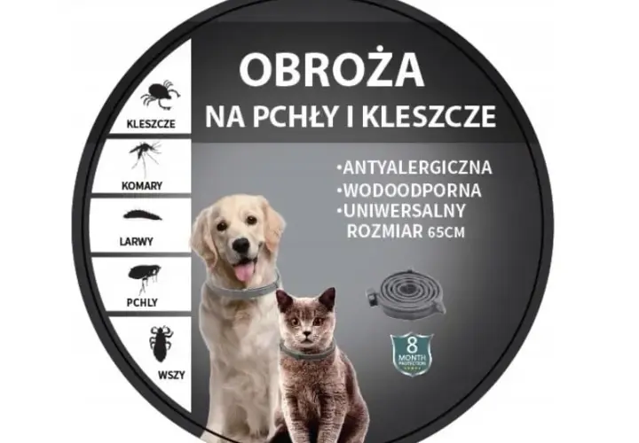 Obroża na pchły dla szczeniaka od kiedy? Sprawdź, by nie zaszkodzić