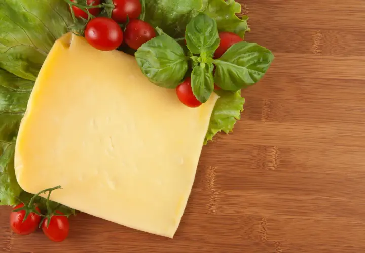 Czy pies może jeść ser? Sprawdź, co musisz wiedzieć o bezpieczeństwie