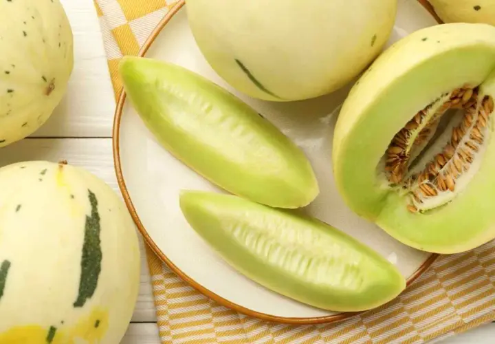 Czy pies może jeść melona? Bezpieczne zasady i zdrowe korzyści
