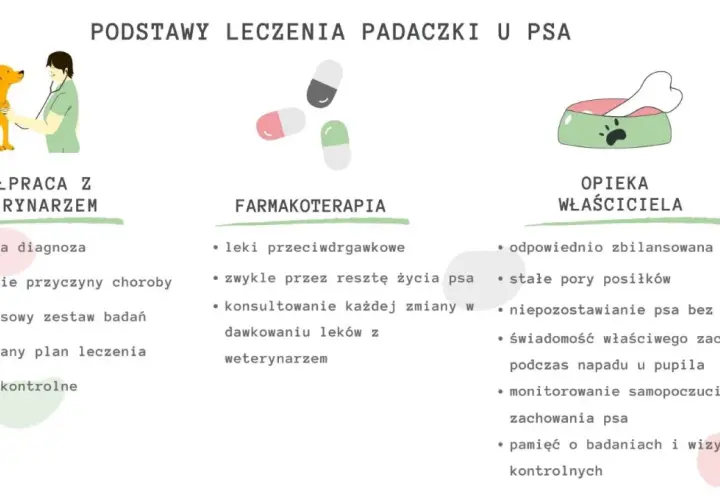 Ilustracja przedstawia podstawy leczenia padaczki u psa: współpracę z weterynarzem, farmakoterapię i opiekę właściciela.