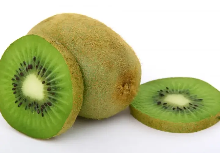 Czy pies może jeść kiwi? Bezpieczne porady i potencjalne ryzyko