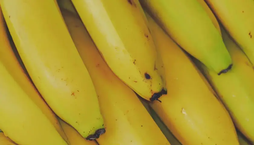 Kupka żółtych bananów. Zastanawiasz się, czy koty mogą jeść banany? Te owoce są bogate w potas i witaminy.