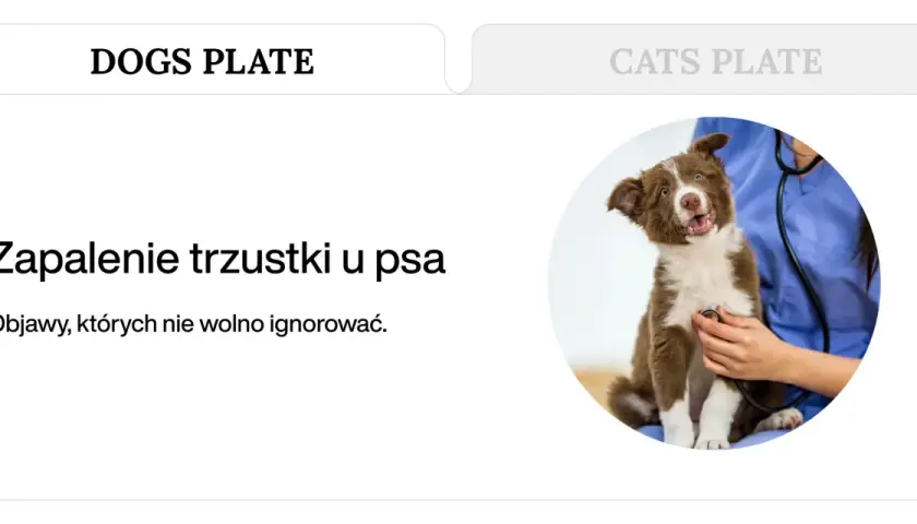 Uroczy szczeniak u weterynarza. Tekst informuje o zapaleniu trzustki u psa i objawach, których nie wolno ignorować.