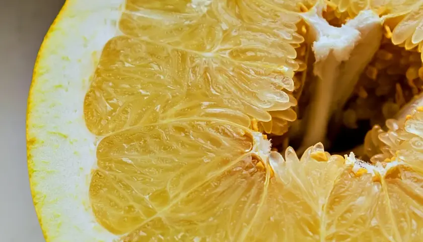 Czy pies może jeść pomelo? Ważne informacje o ryzyku dla zdrowia psa