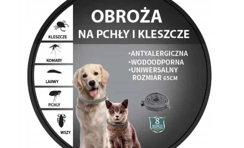 Obroża na pchły dla szczeniaka od kiedy? Sprawdź, by nie zaszkodzić
