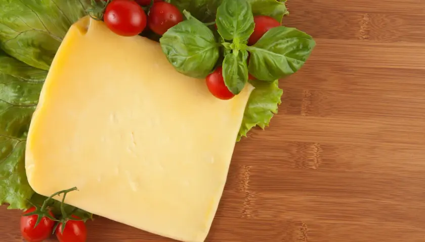 Czy pies może jeść ser? Sprawdź, co musisz wiedzieć o bezpieczeństwie