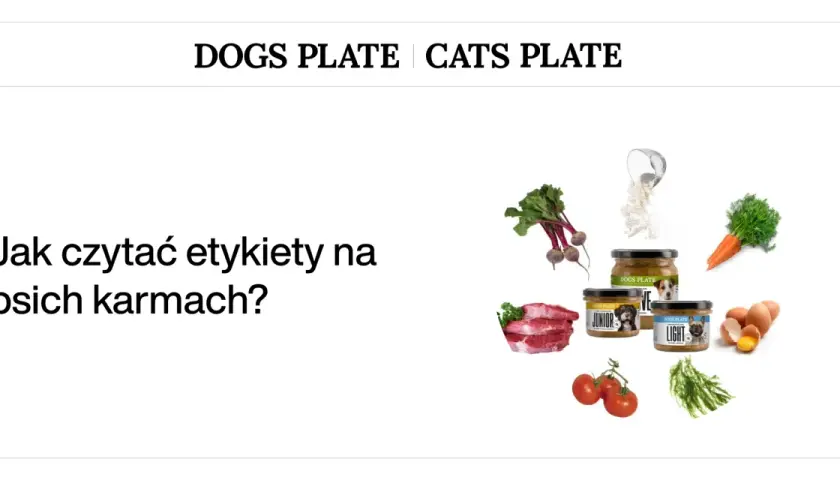 Dobra karma dla psa to klucz do jego zdrowia. Na zdjęciu składniki i etykiety karm.
