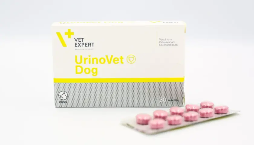 Opakowanie UrinoVet Dog z tabletkami. Preparat dla psów wspierający układ moczowy.