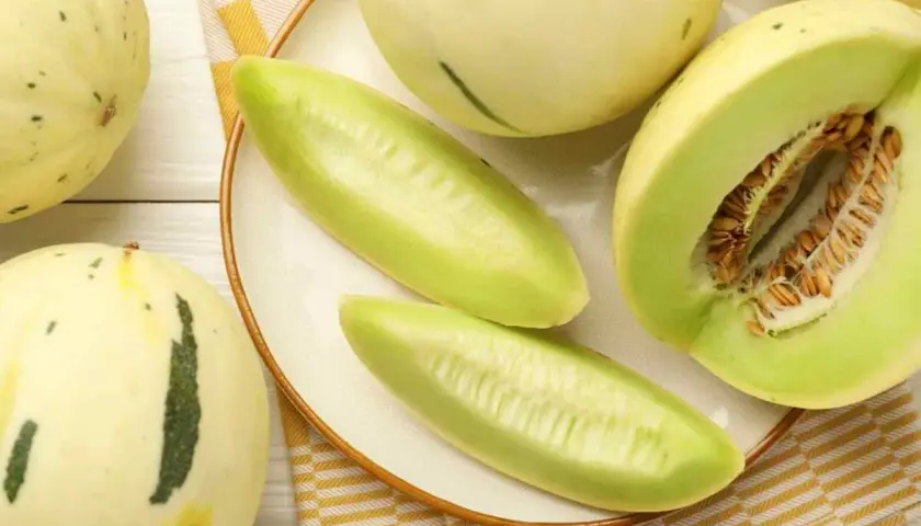 Czy pies może jeść melona? Bezpieczne zasady i zdrowe korzyści