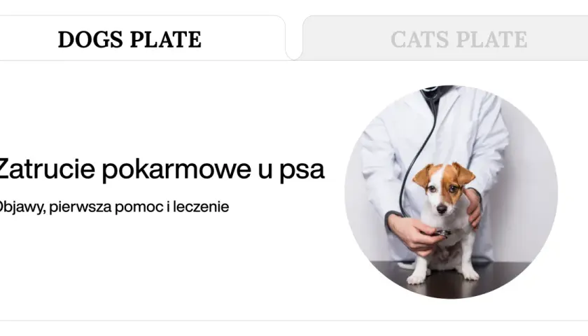 Weterynarz bada psa, który może mieć objawy zatrucia pokarmowego.