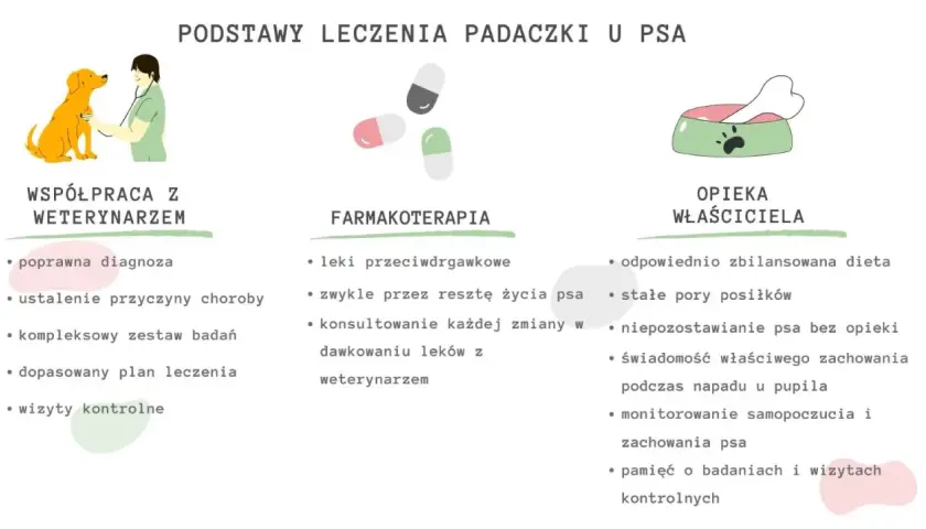 Ilustracja przedstawia podstawy leczenia padaczki u psa: współpracę z weterynarzem, farmakoterapię i opiekę właściciela.