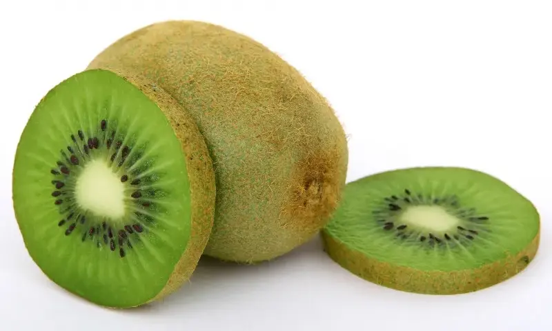 Czy pies może jeść kiwi? Bezpieczne porady i potencjalne ryzyko