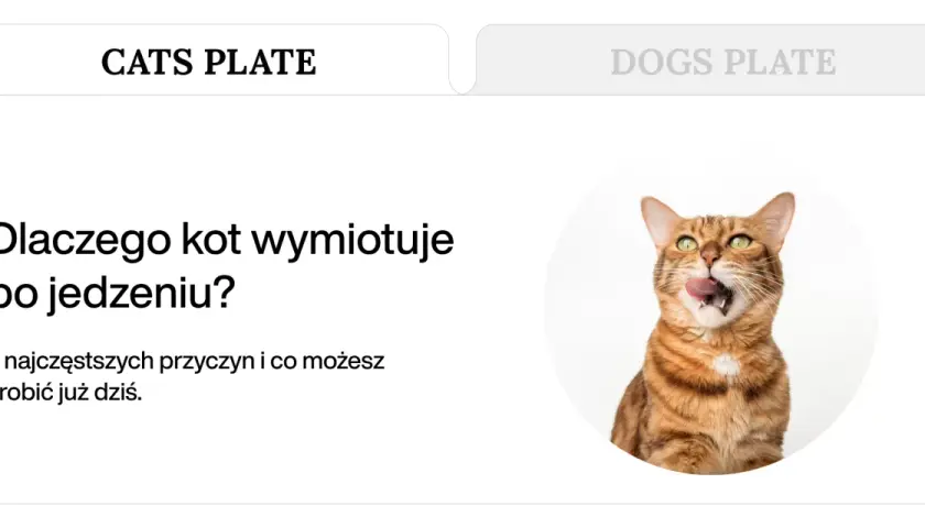 Złoty kot z zielonymi oczami oblizuje pyszczek, sugerując, że kot wymiotuje niestrawionym jedzeniem.