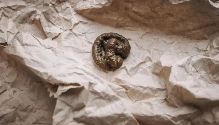 Kupa kota na pogniecionej papierowej serwetce. Widać ślady krwi w kale kota, co może wskazywać na problemy zdrowotne.