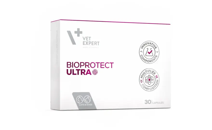 BioProtect dla psa i kota - Kapsułki czy pasta? Jak dawkować?