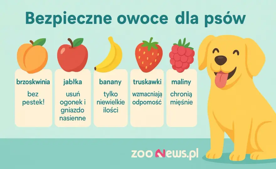 Jakie owoce może jeść pies - Co jest bezpieczne, a czego unikać?