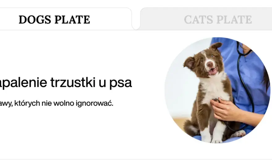 Objawy zapalenia trzustki u psa i kota - Czy to tylko niestrawność?