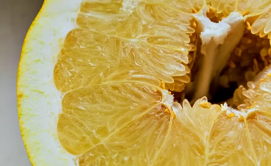 Czy pies może jeść pomelo? Ważne informacje o ryzyku dla zdrowia psa