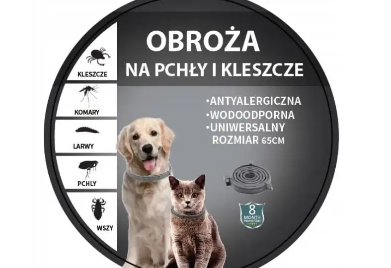 Obroża na pchły dla szczeniaka od kiedy? Sprawdź, by nie zaszkodzić