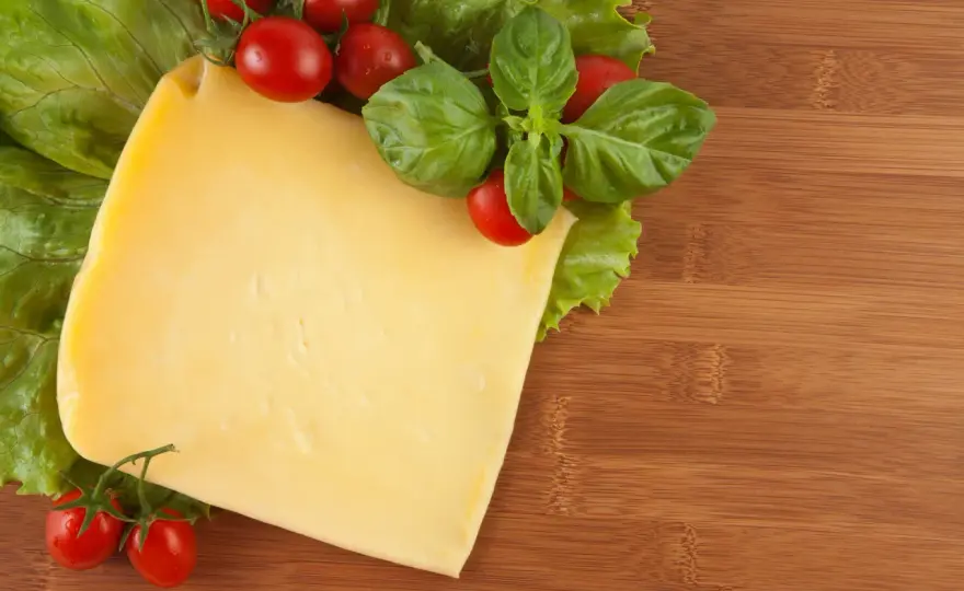 Czy pies może jeść ser? Sprawdź, co musisz wiedzieć o bezpieczeństwie