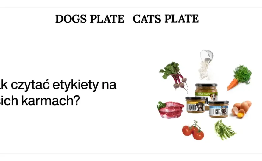 Jak wybrać karmę dla psa i kota - Co naprawdę mówi etykieta?