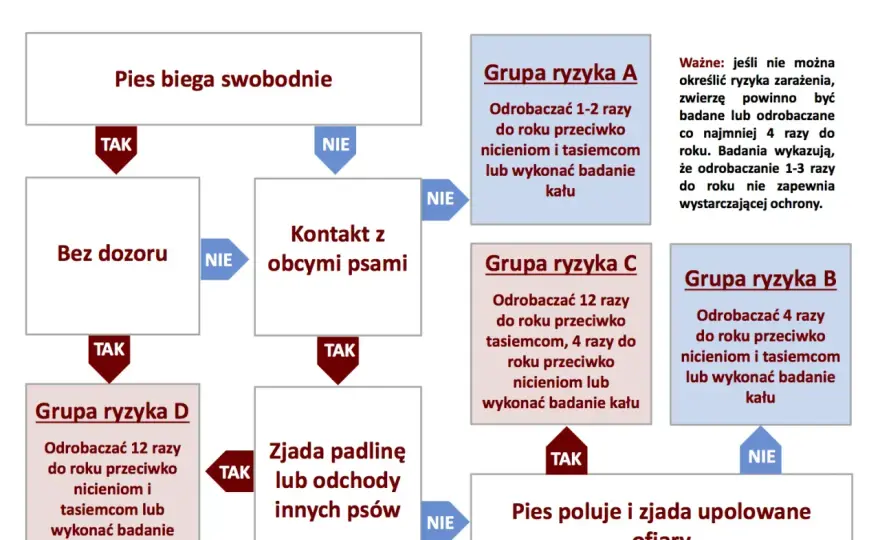 Jak często odrobaczać psa? Sprawdź praktyczny plan