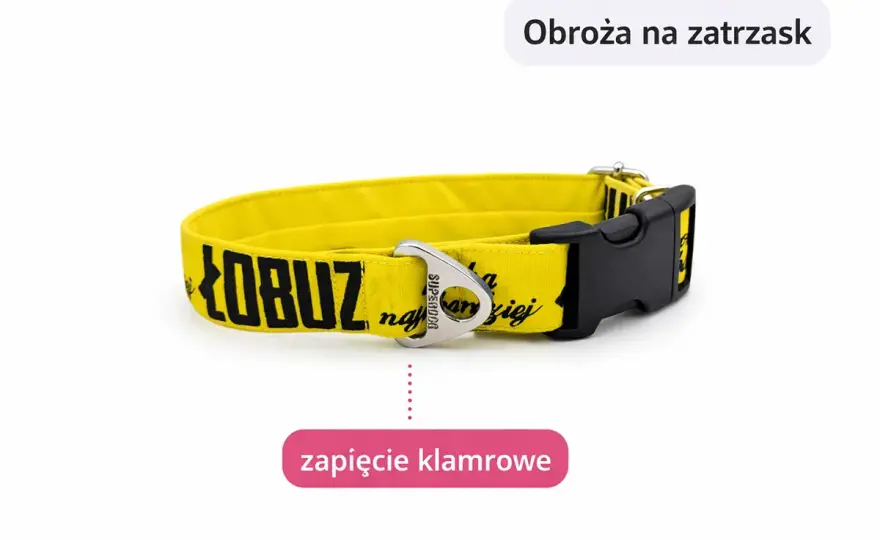 Jaką obrożę dla cane corso wybrać, aby zapewnić komfort i bezpieczeństwo?
