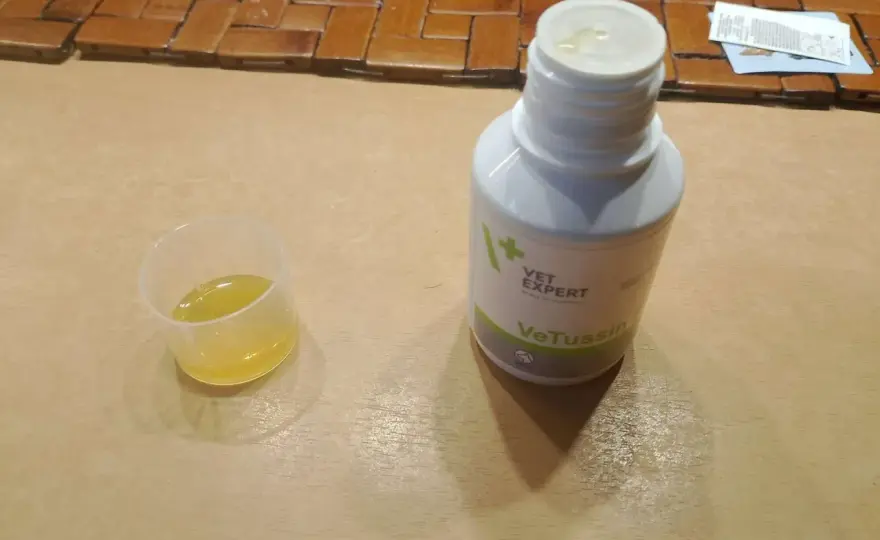 Vetussin na kaszel u psa - Jak działa i kiedy faktycznie pomaga?