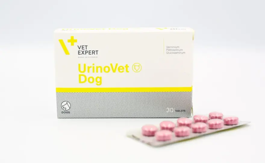 UrinoVet dla psa i kota - Jaką wersję wybrać i jak stosować?