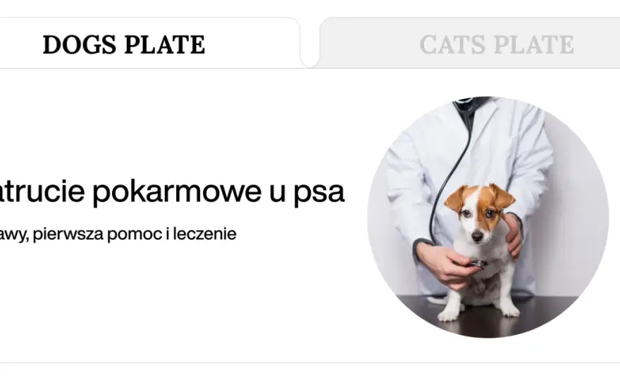 Objawy zatrucia u psa - Jak je rozpoznać i co zrobić od razu?